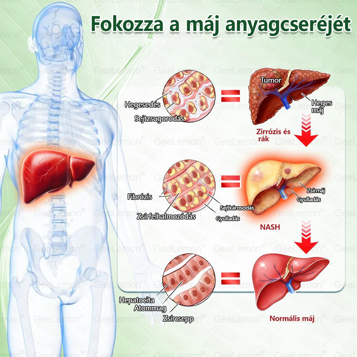 NINCS VISSZAÚT ⚠️ MOST −30% ŐRÜLET 🔥 UTOLSÓ DARABOK A RENDSZER BÁRMIKOR LEÁLLHAT HA MOST KIMARADSZ ELMENT ❌ NE GONDOLKODJ